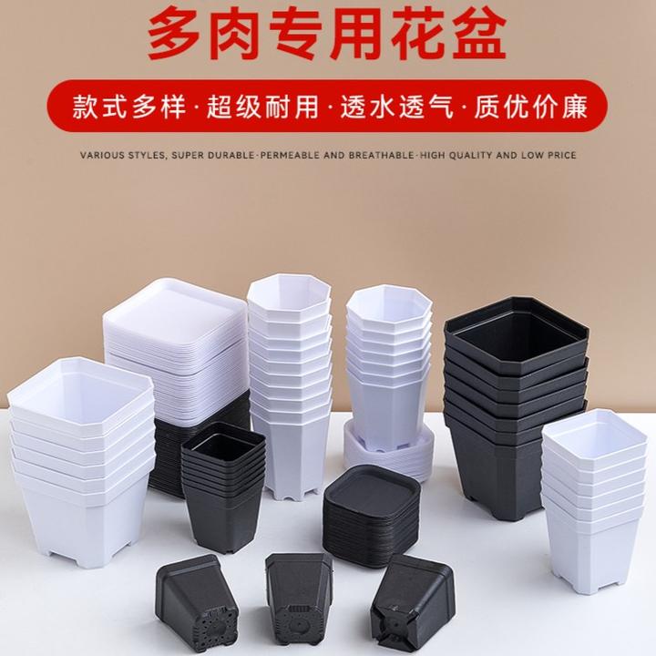 热卖透气八角盆加厚方盆白色黑色多肉花盆优质简约植物叶插育苗盆