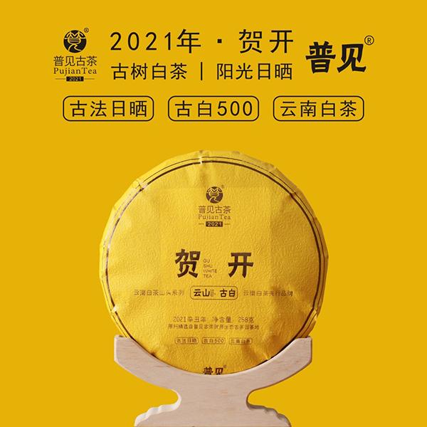 普见古茶2021年贺开（古树白茶）精选生态古茶园古树 云南白茶