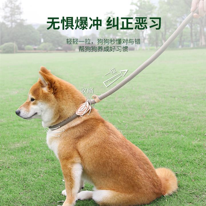 kimpets狗狗绳子防爆冲P链遛狗牵引绳通用防挣脱狗链子大中小型犬