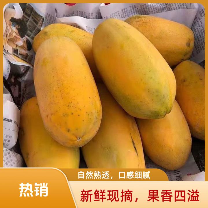 【超级大补贴】正宗广东树上自然熟冰糖红心木瓜 超甜水果牛奶木瓜