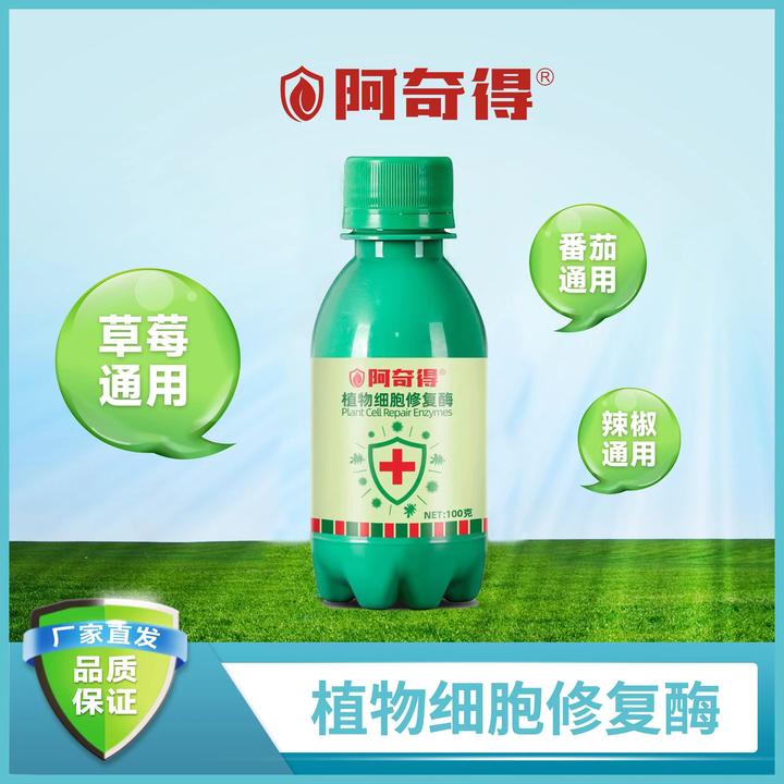 阿奇得防病营养调节草莓辣椒番茄 防病毒白粉灰霉炭疽霜霉早晚疫