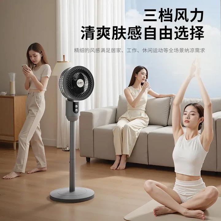 扬子家庭两用循环风扇落地扇可摇头宿舍风扇家用空气扇小型轻音
