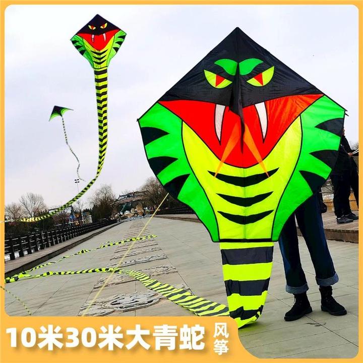 风筝大型特大号中国风大人专用高档巨型蛇形长尾巴潍坊巨无霸青蛇