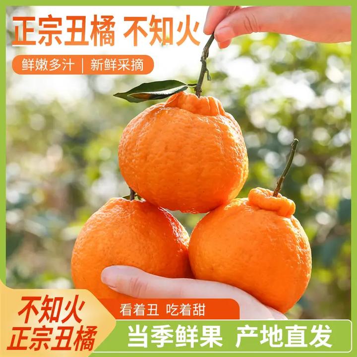 高山不知火丑橘新鲜当季现摘丑柑丑八怪丑橘子酸爽可口1-9斤包邮