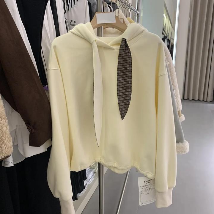 长袖简约休闲风连帽卫衣小众休闲时尚秋冬宽松加绒设计感呢女上衣