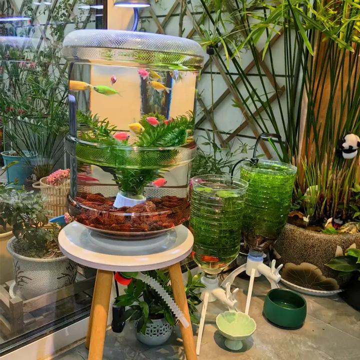 纯净水桶养鱼创意透明鱼缸矿泉水桶改装生态鱼缸自制PC桶养鱼缸桶