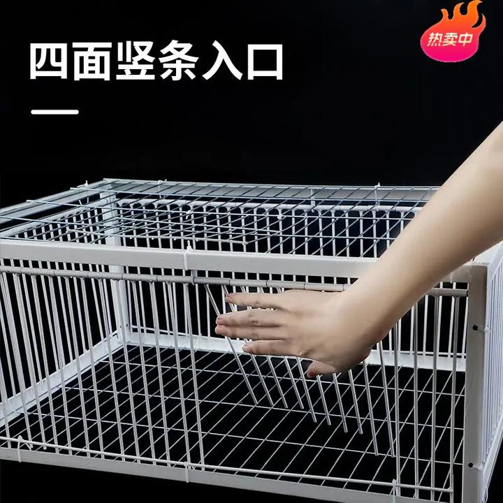 新款家用折叠加密防走失鸽笼四面防锈笼鸽具家禽养殖专用鸟笼结实