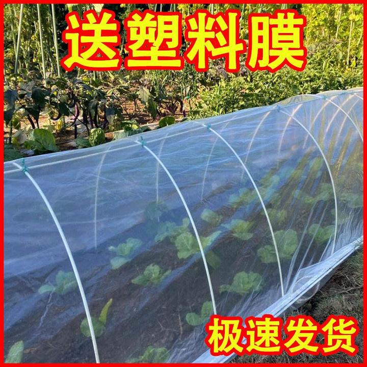 【赠送塑料膜】小拱棚农用弯管家用农用工具蔬菜架子保温保暖
