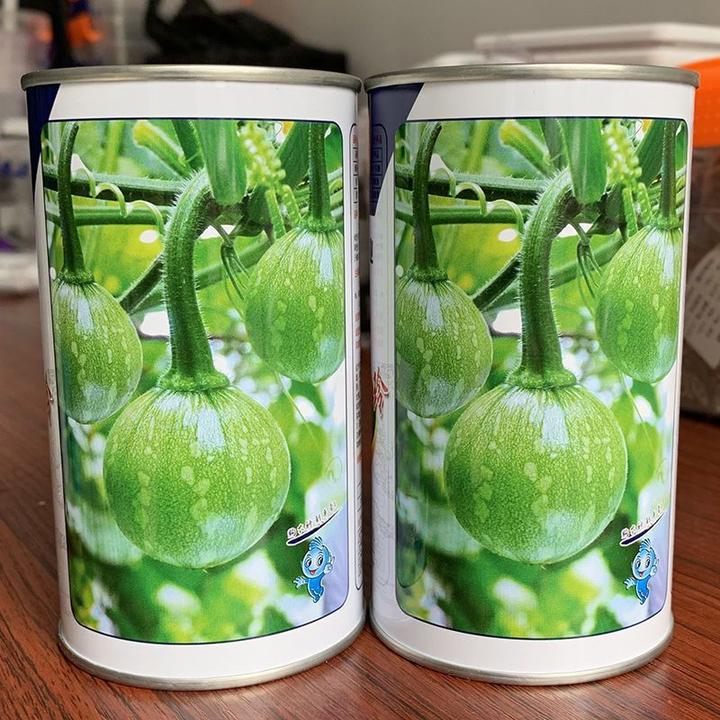 罐装20克早熟一串铃小南瓜种子超甜香糯甜面高产新品种小青瓜种子