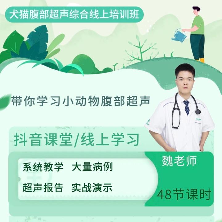 犬猫腹部超声综合班