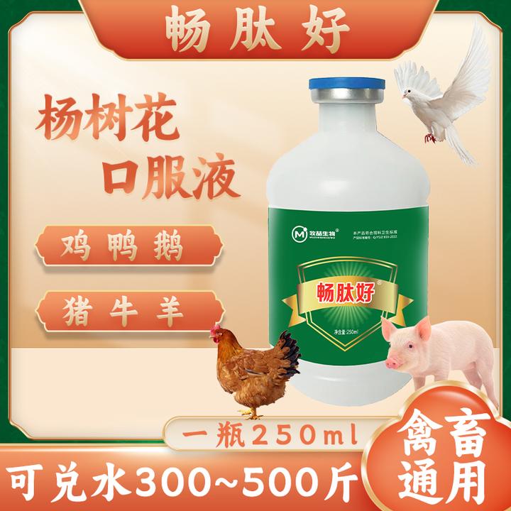畅肽好肠肽好鸡鸭鹅鸽子家禽通用杨树花口服