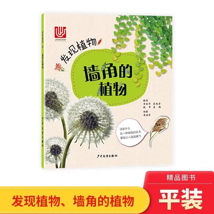 发现植物墙角的植物平装科普植物图少年儿童出版社正版童书