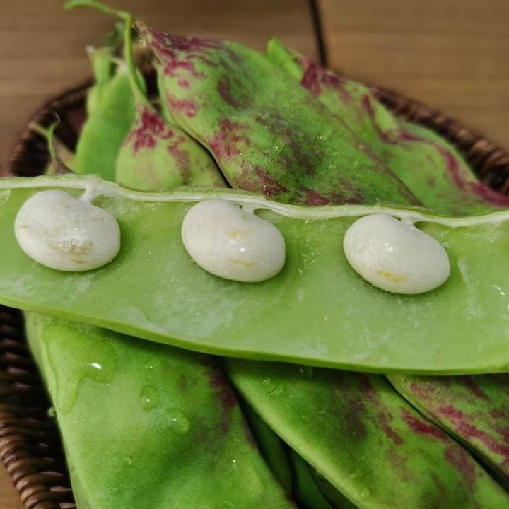 云南露天种植新鲜东北油豆一点红油豆角现摘蔬菜面豆角