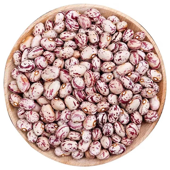 【到手1袋500克】云南熊猫豆新雀蛋豆奶花芸豆花豇豆饭豆豆类