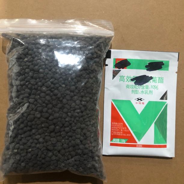 君子兰微生物枯草芽孢杆菌有益菌肥生根壮根抗病防病
