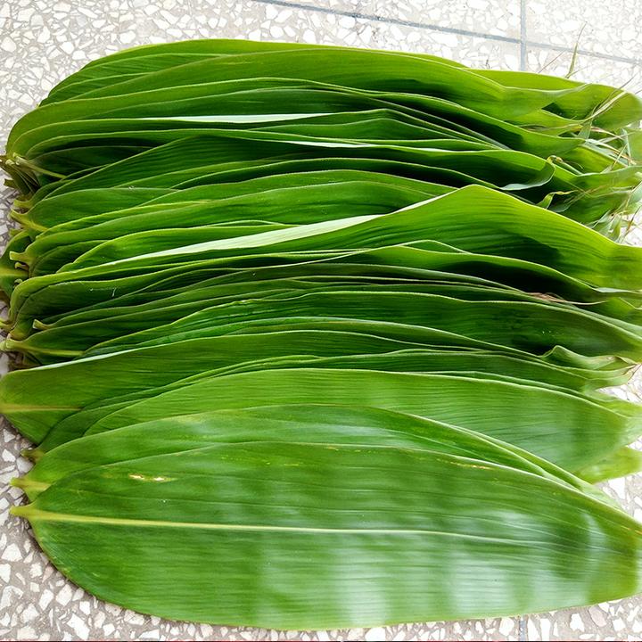 长款高山野生新鲜粽叶箬叶非芦苇叶水煮粽叶好包不易破