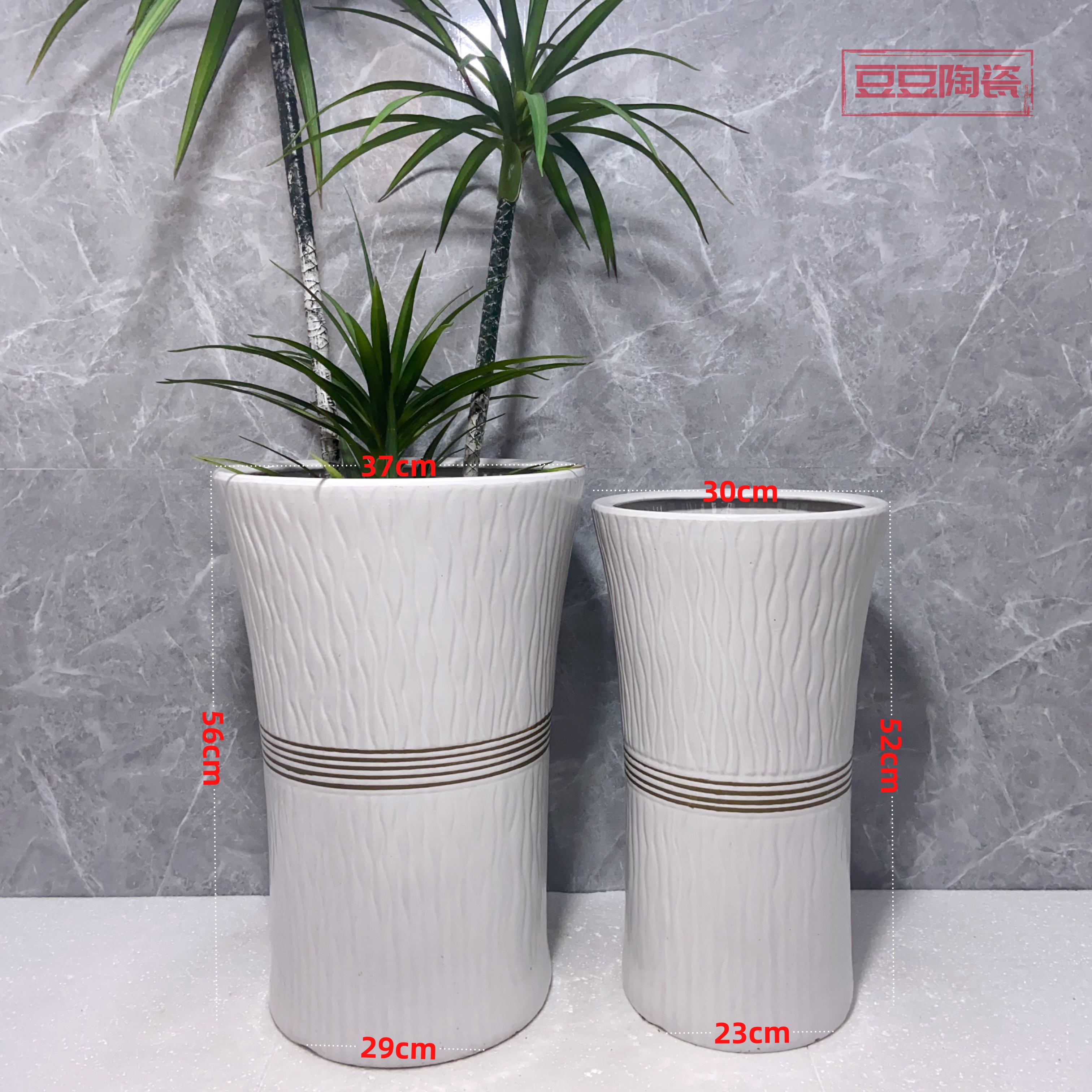 迎春落地大花盆腰线陶瓷大口径高筒金钱树天堂鸟白色散尾葵落地大