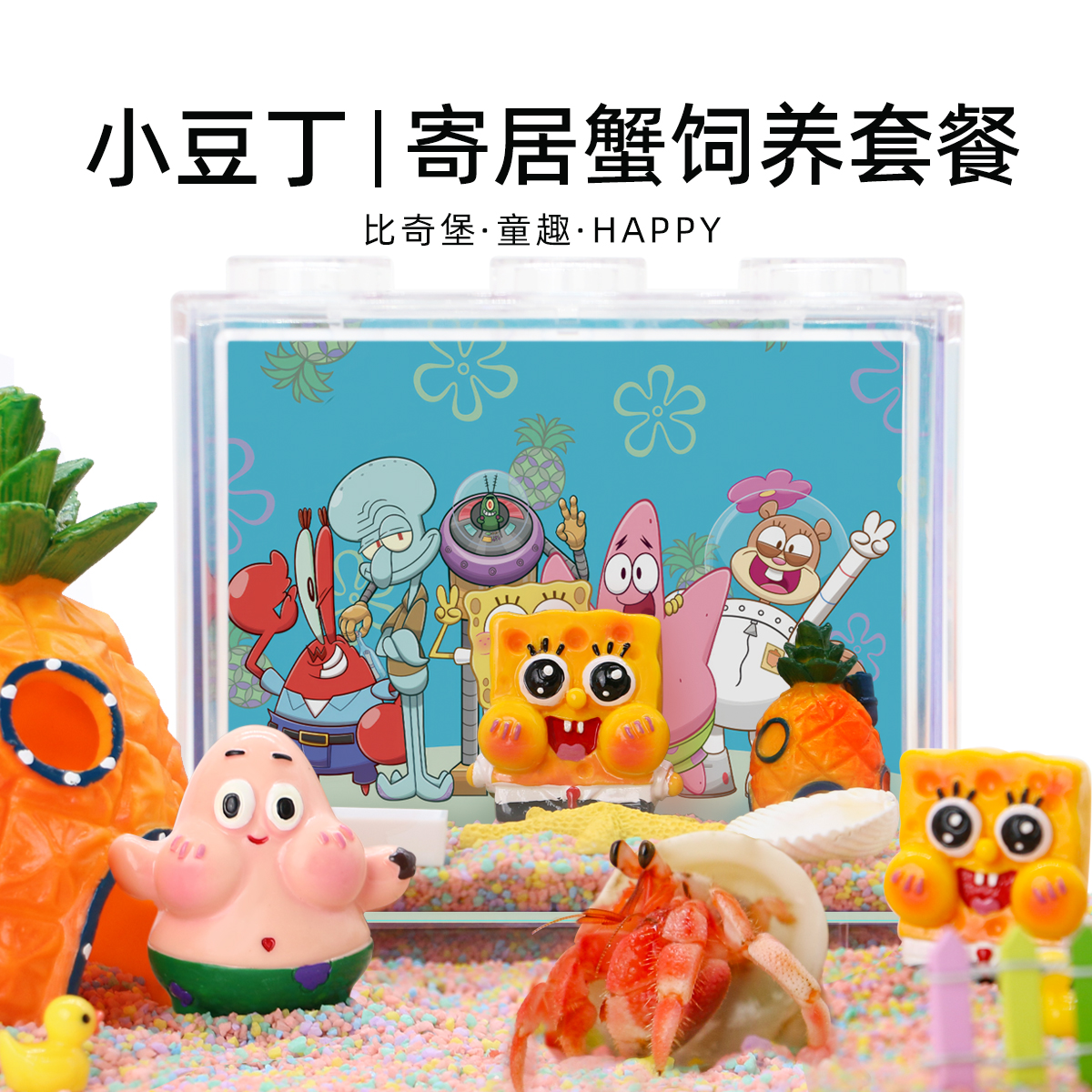 陌派小豆丁寄居蟹套餐～琳娜贝儿寄居蟹饲养套装饲养盒儿童礼物