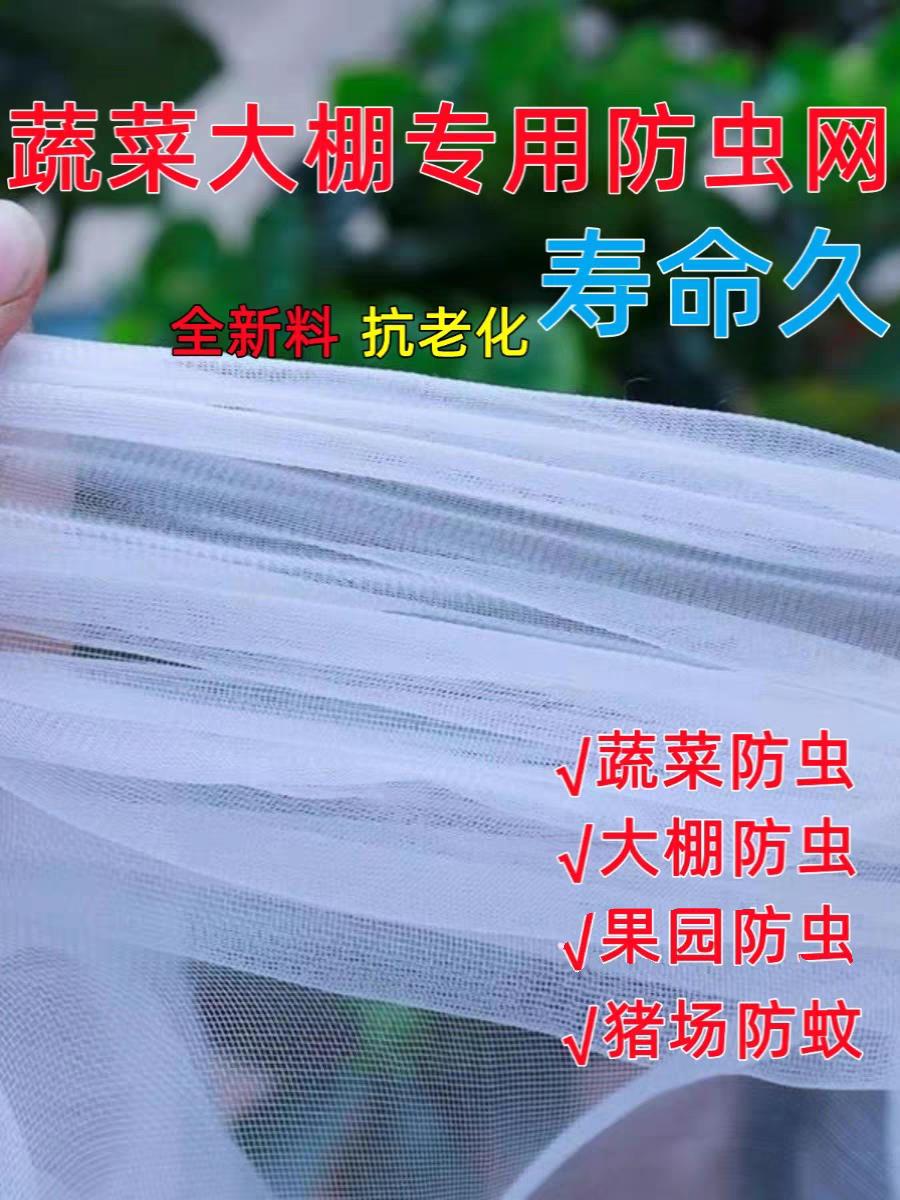 尼龙窗纱网家用防蚊加密铝合金塑钢纱窗晒木耳茶叶养殖猪场晾晒网