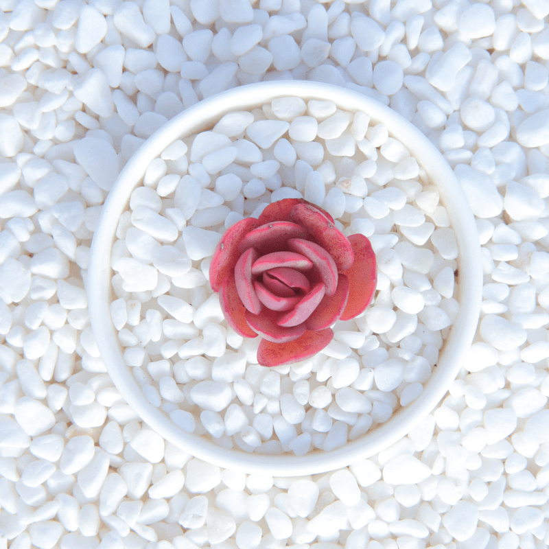 天然防虫鹅卵石多肉盆栽铺面石庭院造景雨花石子花盆装饰盆景石