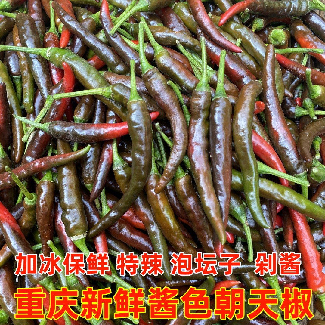 酱色朝天椒新鲜特辣小米椒泡坛子乌红辣椒泡椒剁椒泡海椒重庆四川