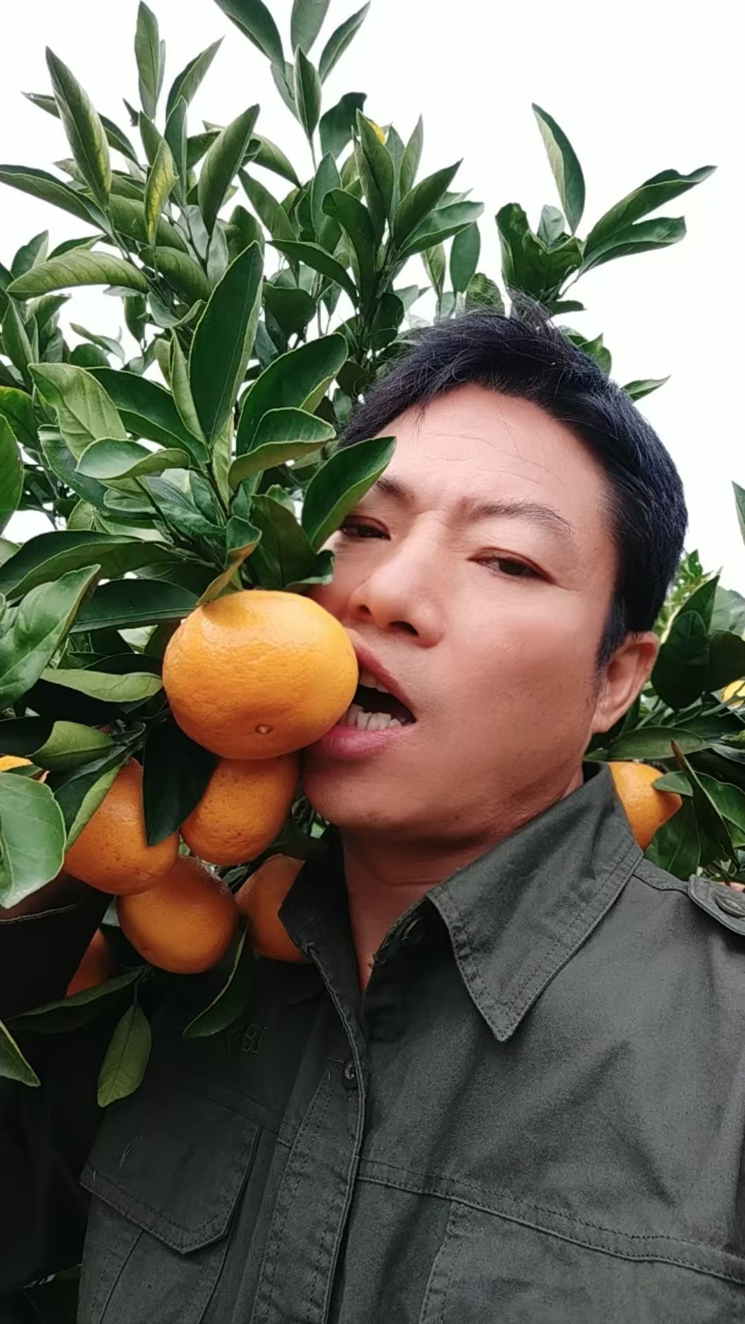 正宗台州临海涌泉蜜桔皮薄无核高山蜜桔临海橘子