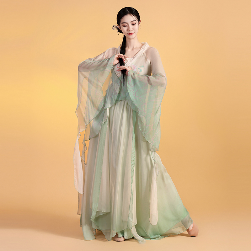 中国舞练功演出服裙裤2024新款古典舞服装蝴蝶渐变仙气古典舞服装