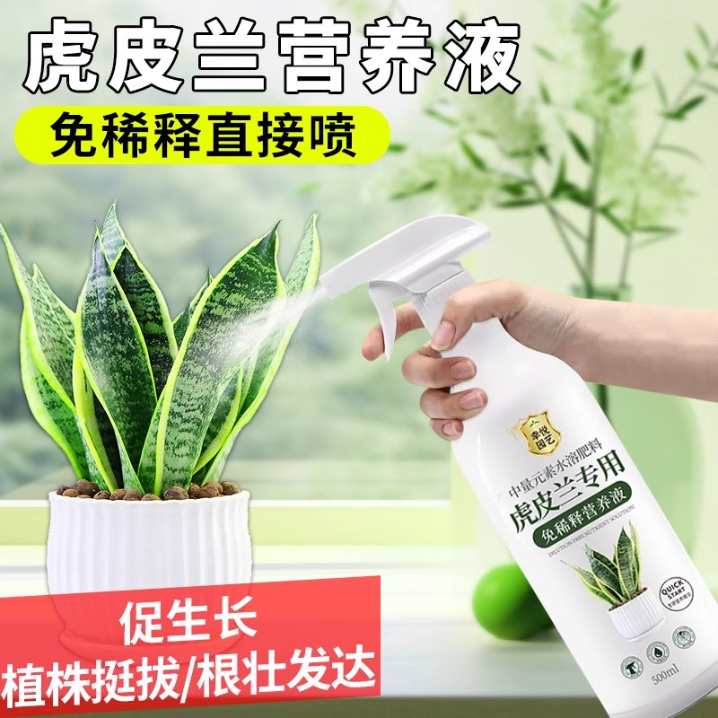 虎皮兰专用免稀释营养液直接喷通用促花绿叶壮根营养液植物营养液