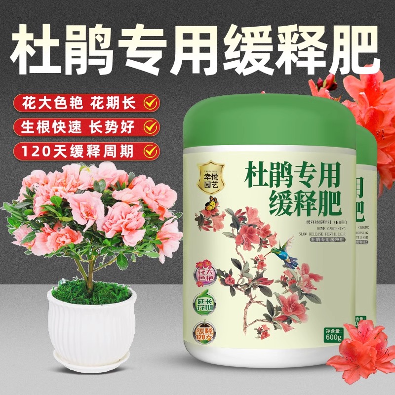 室内杜鹃花复合肥酸性促开花植物缓释肥肥料盆栽植物通用