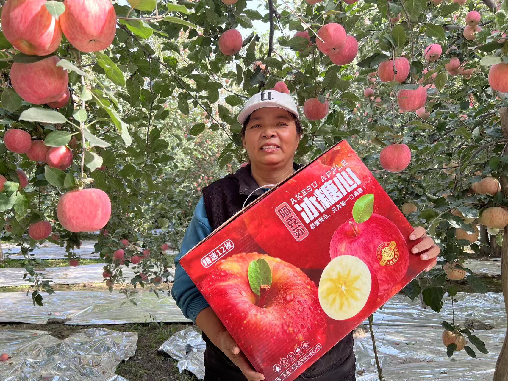 新疆阿克苏冰糖心苹果脆甜无渣原产地直发（顺丰京东包邮）