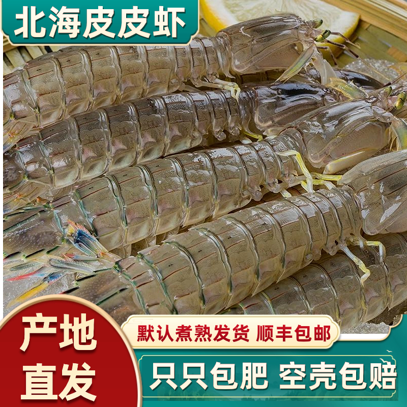 北海皮皮虾鲜活熟冻海鲜水产海虾新鲜虾琵琶超大虾爬子特大濑尿虾