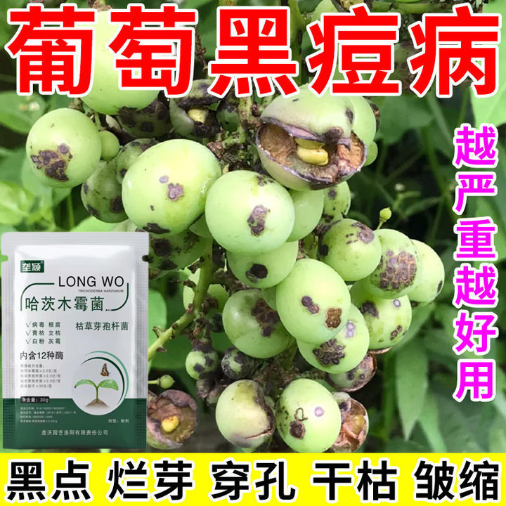 葡萄专用肥料葡萄黑痘病炭疽病黄叶冰霜霉病灰霉病黑果葡萄树肥料