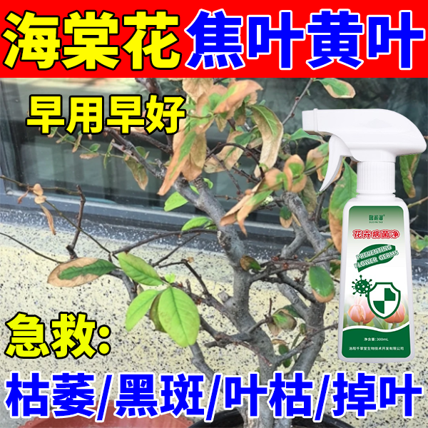 海棠花营养液抑菌剂急救焦叶黄叶枯萎落叶不开花不发芽免稀释肥料
