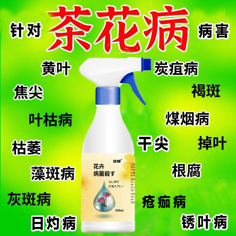 山茶花病害专用肥料防掉花苞黄叶干尖焦尖烂根炭疽叶斑枯萎枯枝病