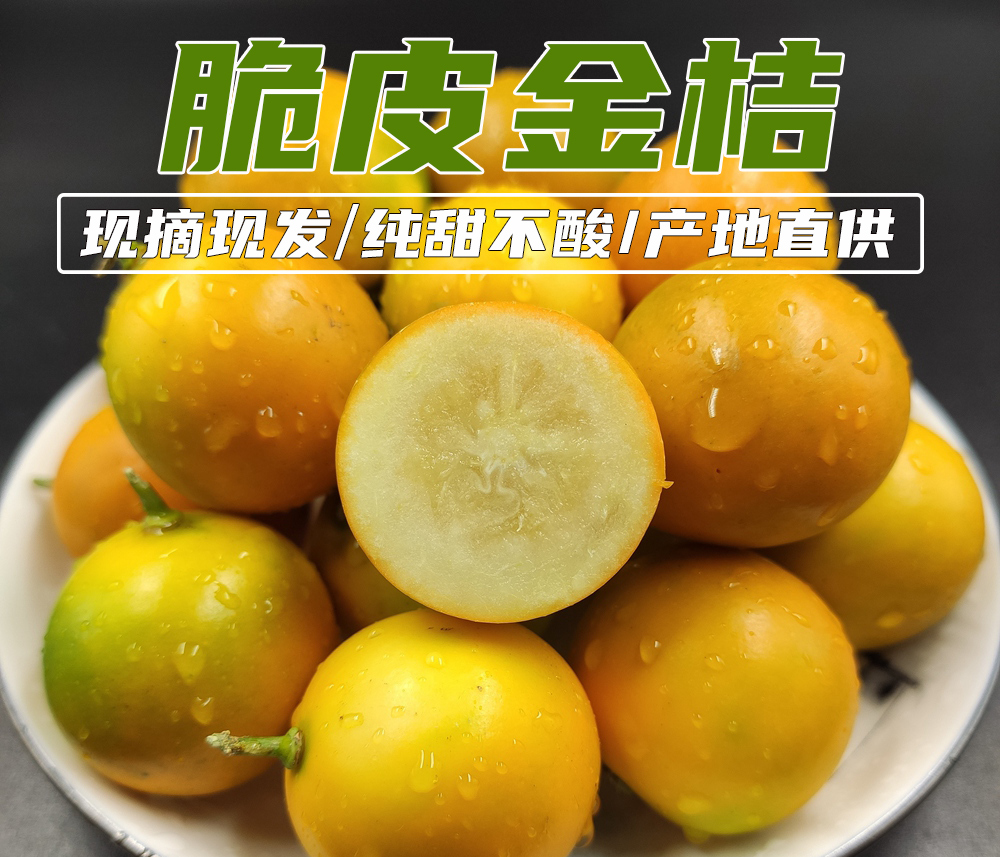 广西脆皮金桔纯甜无酸桂林糖心小金橘融安滑皮金桔现摘新鲜水果