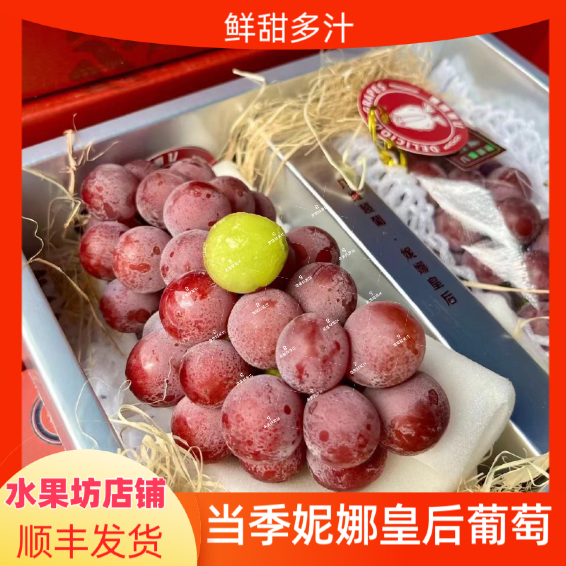 现货云南妮娜皇后葡萄当季新鲜红宝石红提水果口感纯甜顺丰发货