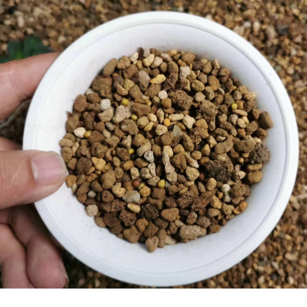 十二卷专用土玉露玉扇万象寿多肉营养仙人球羊粪块根阳台专用土