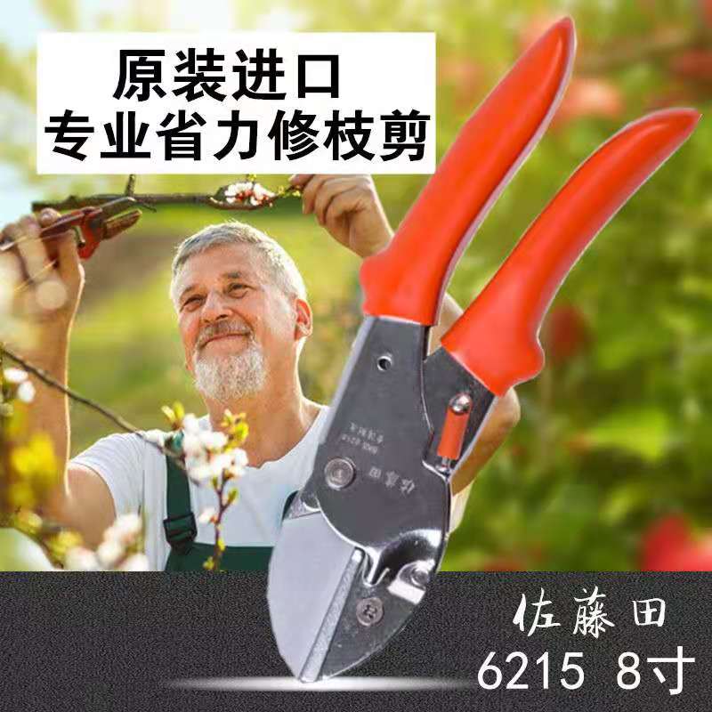 佐藤田修剪树枝剪刀强力粗枝剪省力家用园林园艺剪刀果树工具剪刀