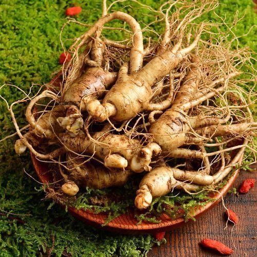 长白山原产地现挖新鲜人参【 买三送三到手一斤 装】 -500左右