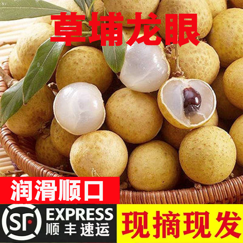 【顺丰+草埔龙眼】龙眼新鲜现摘桂圆广东草埔龙眼超甜整箱水果3/5斤