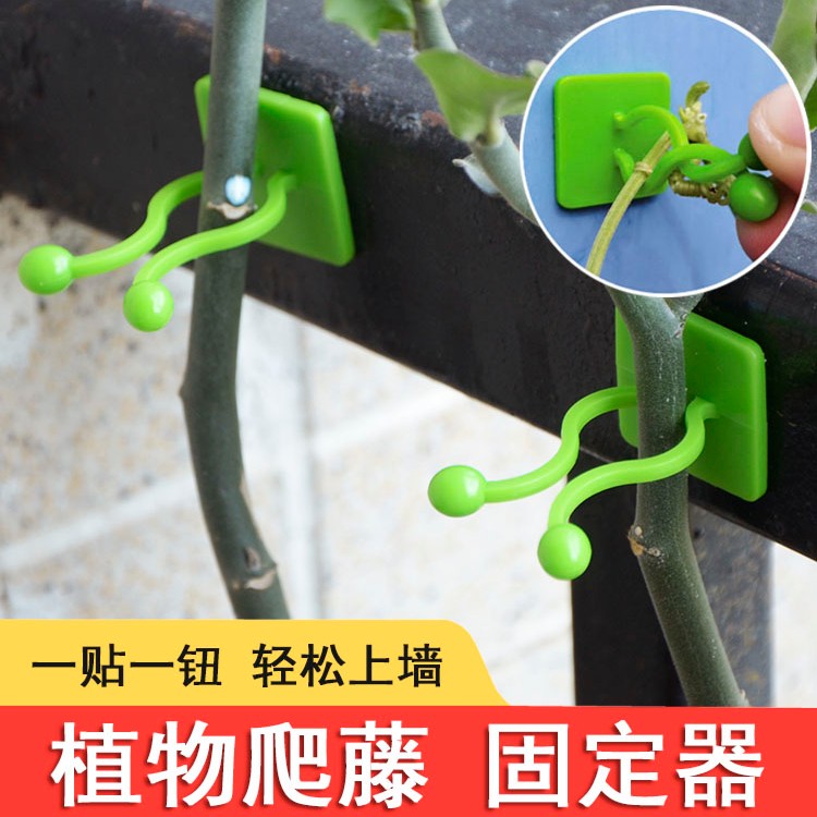 绿萝爬墙上花神器绿植固定器绿箩家用无痕卡扣绿枝爬藤杆夹子室内