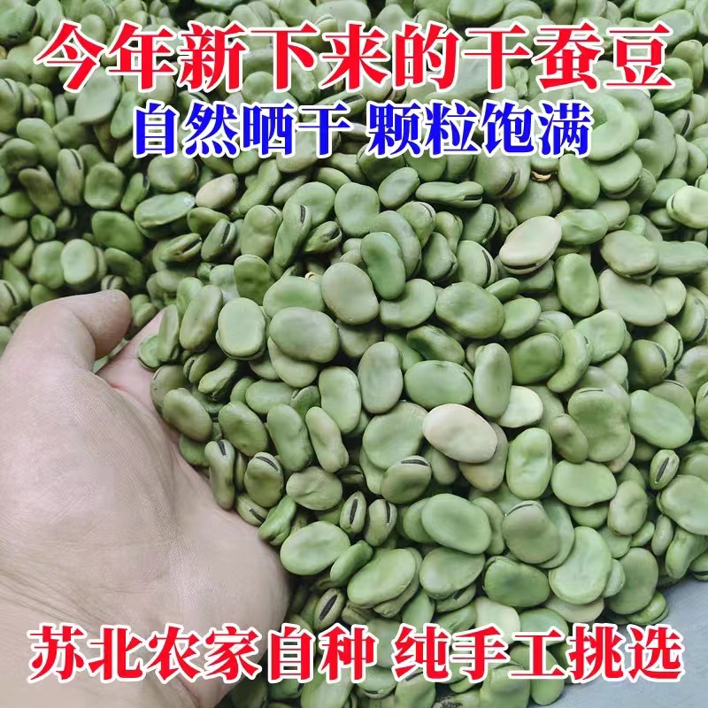 精选新货绿皮蚕豆青皮干蚕豆生绿胡豆可发芽做油炸罗汉豆莲花豆