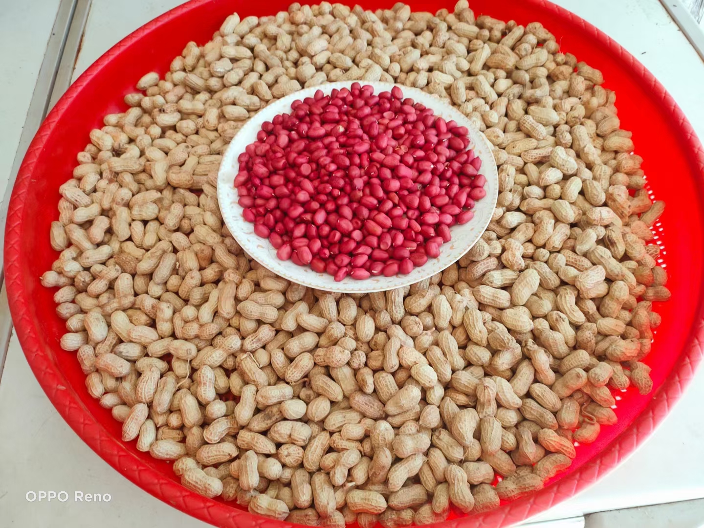 恩施散装红皮花生带壳红衣小花生自然晒干3斤包邮