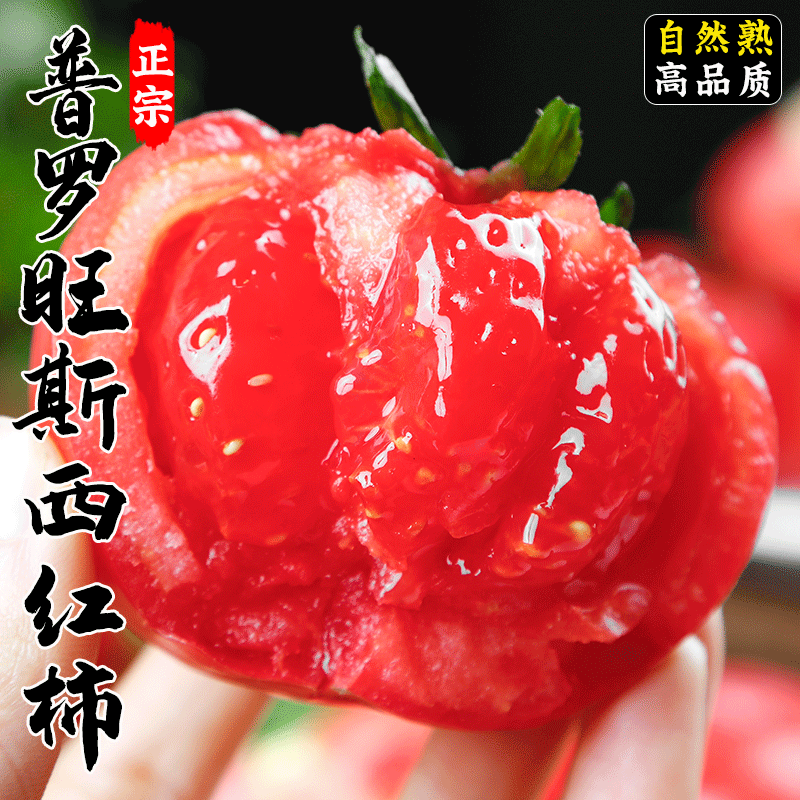 陕西普罗旺斯水果西红柿酸甜多汁皮薄爽口爆汁生态口感沙瓤西红柿