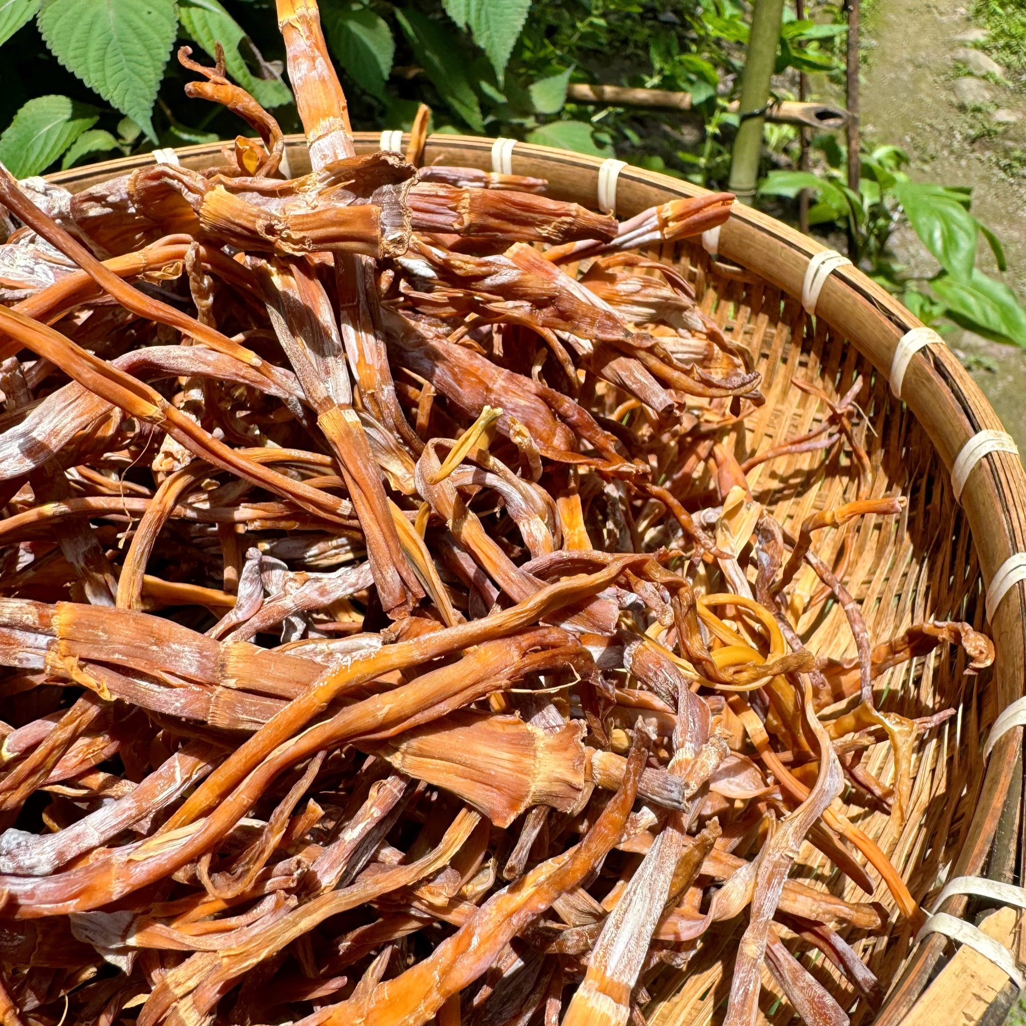 【干笋子】四川 高山笋子 农家自晒/家的味道