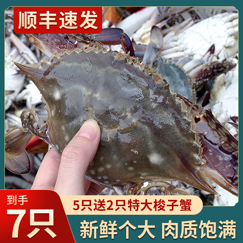【冻蟹】7只舟山梭子蟹4-6两冷冻大螃蟹海鲜鲜嫩飞蟹白蟹3.5斤左右