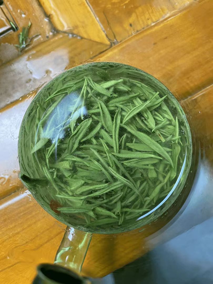 （159福利）2025信阳毛尖明前头采小芽250g500g