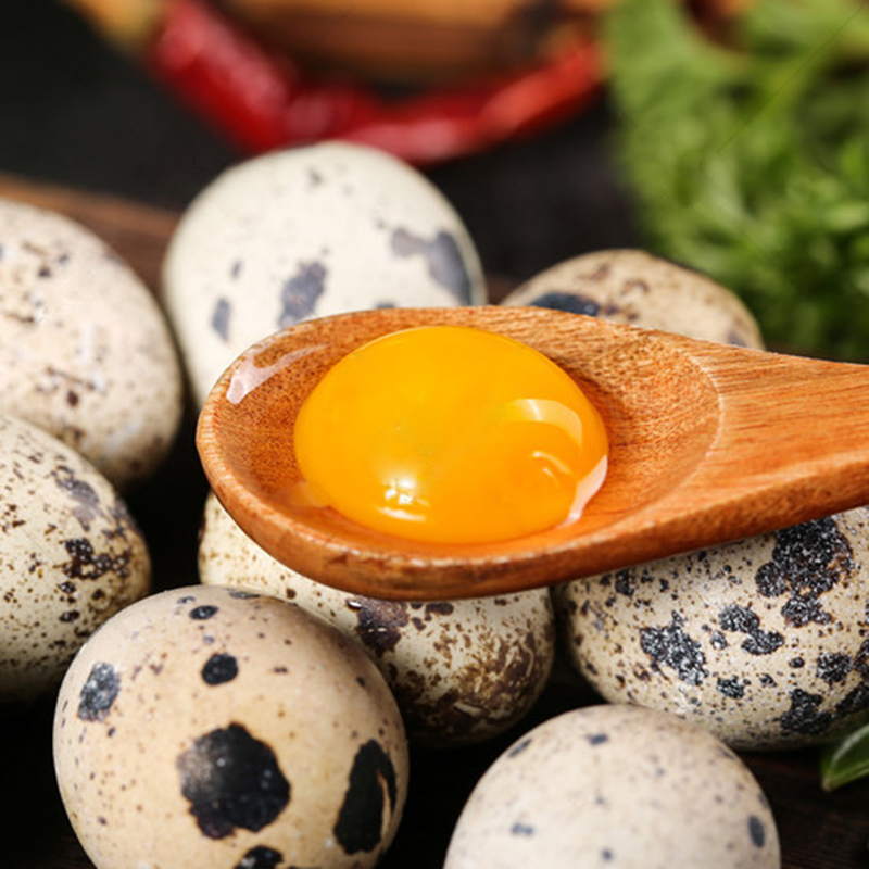 新鲜鹌鹑蛋100枚2斤农家杂粮喂养鹌鹑蛋小鸟蛋生鹌鹑蛋主播N