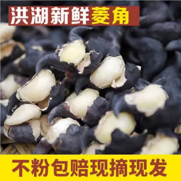 洪湖菱角新鲜老菱角莲角青菱角湖北特产菱角新鲜生棱角