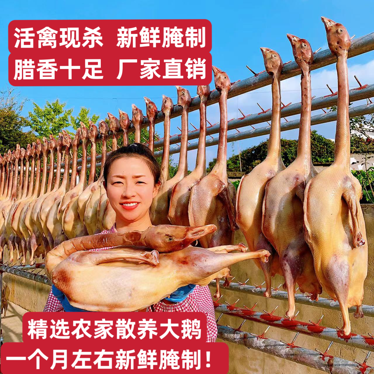 【2只大鹅！】散养风干咸鹅腊鹅鹅肉风干鸡咸鸭腊鸭腊肉腌肉